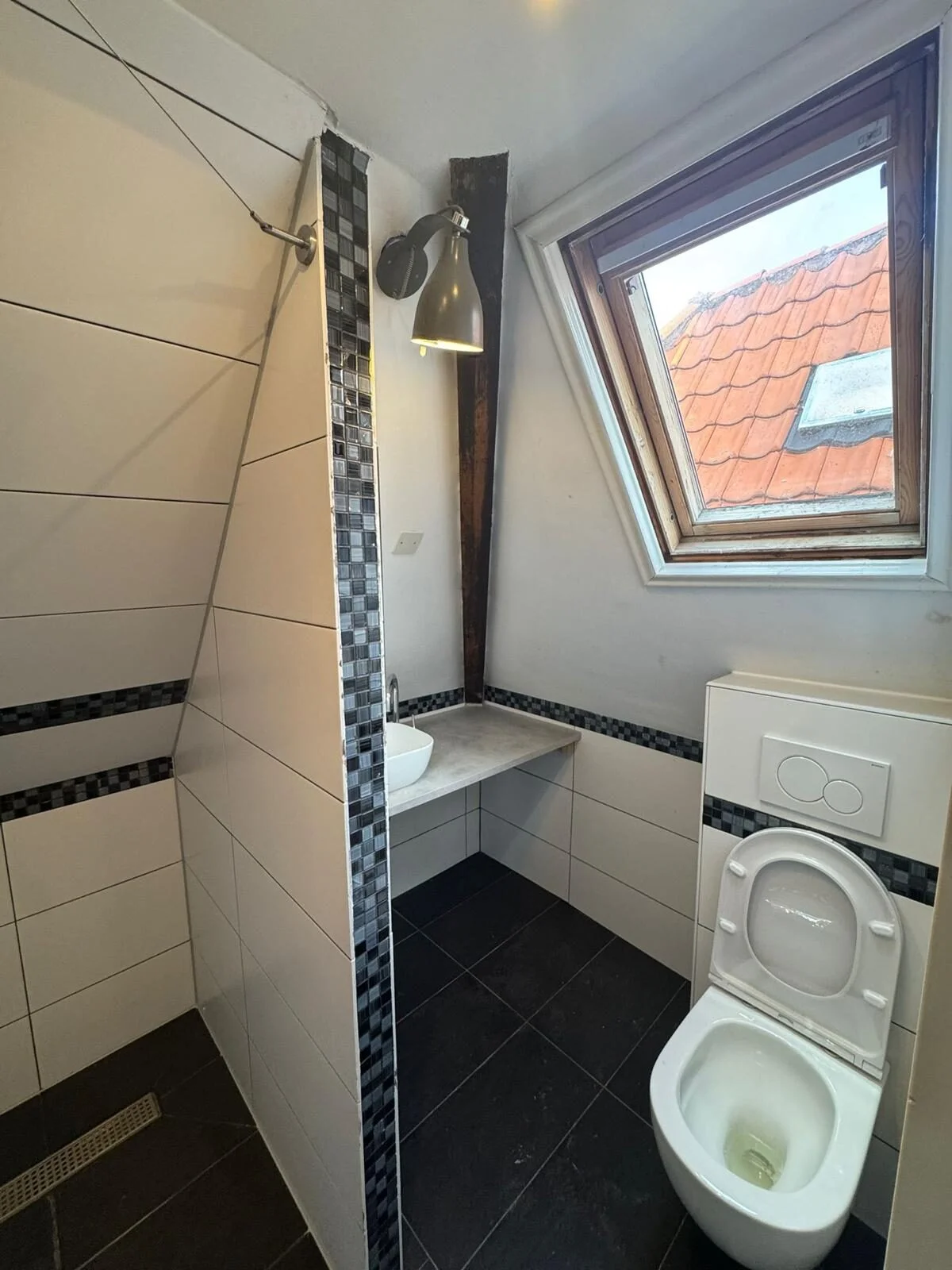 Bathroom with sink, toilet and skylight